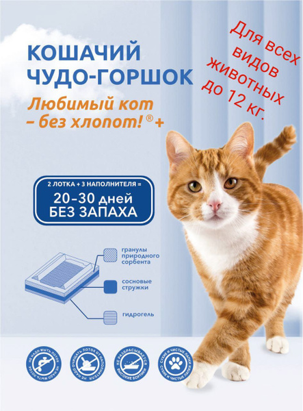 Одноразовый лоток - купить с доставкой по выгодным ценам в интернет ...