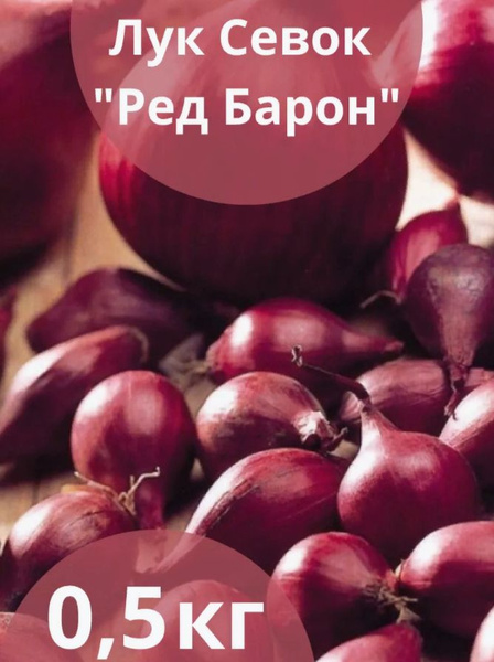 Луковицы Лук севок купить по выгодной цене в интернет-магазине OZON ...