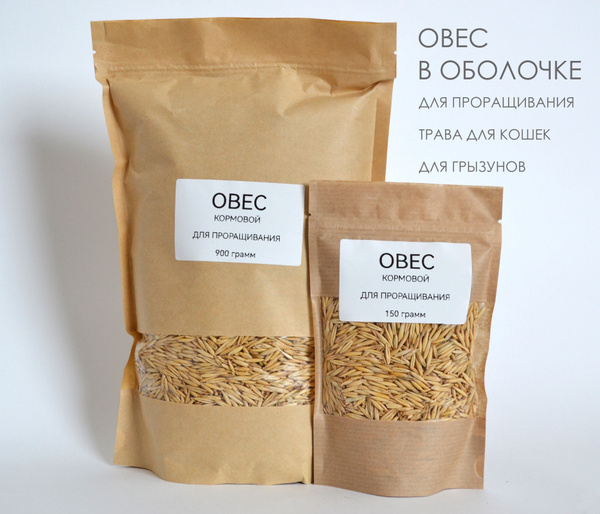 Овес в оболочке для проращивания, микрозелени, витграсс, трава для ...