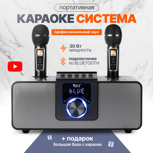 Караоке-система купить на OZON по низкой цене (1819360349)