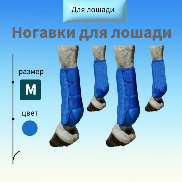 Ногавки для лошади купить на OZON по низкой цене (1777884106)