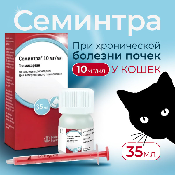Семинтра суспензия 10 мг/мл, 35 мл при ХБП у кошек с шприцем-дозатором ...