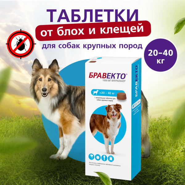 до 10.2025 Бравекто таблетки от блох и клещей для пород собак 20-40 кг ...