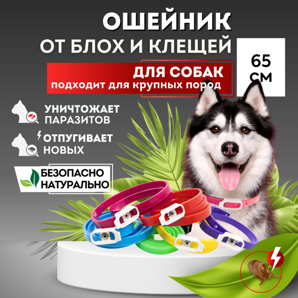 Ошейник от блох и клещей для собак средних и крупных пород 65 см Good ...