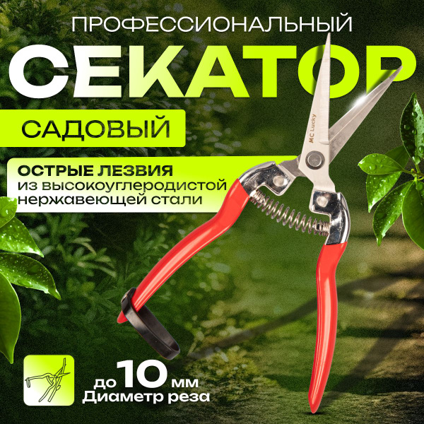 Секатор садовый / Профессиональный секатор для флориста / Ножницы для ...