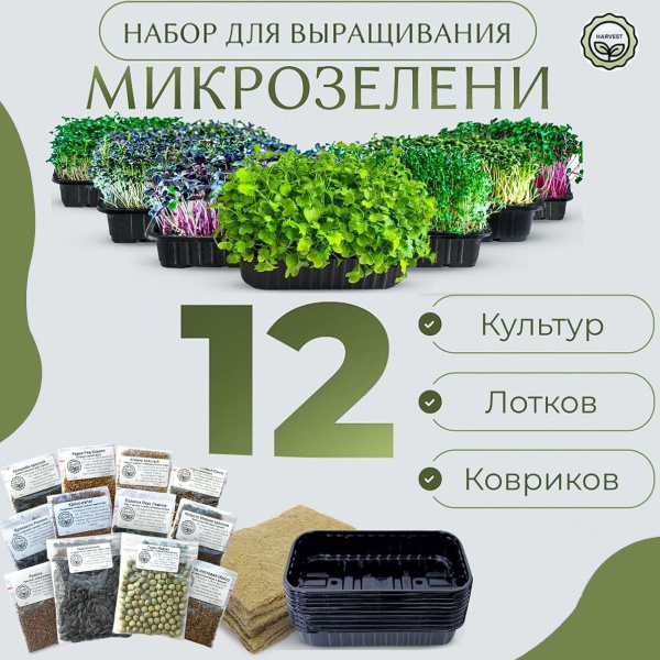 Где Купить Семена Микрозелени Бюджетно Отзывы