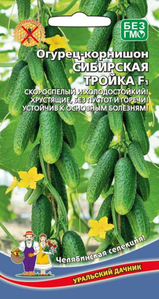 Семена Огурцы Уральский Дачник Купить