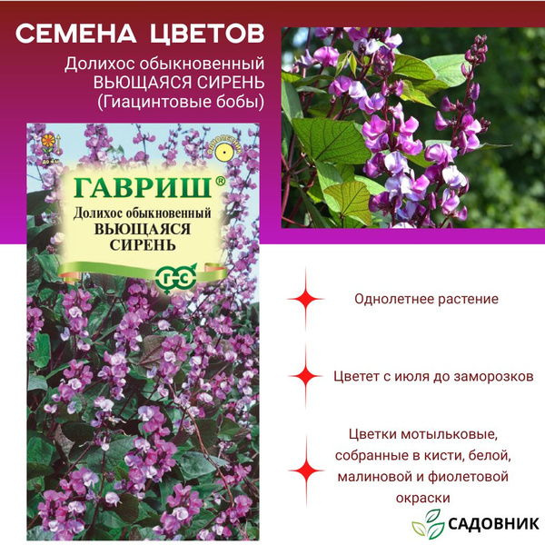 Долихос Гавриш Долихос - купить по выгодным ценам в интернет-магазине ...