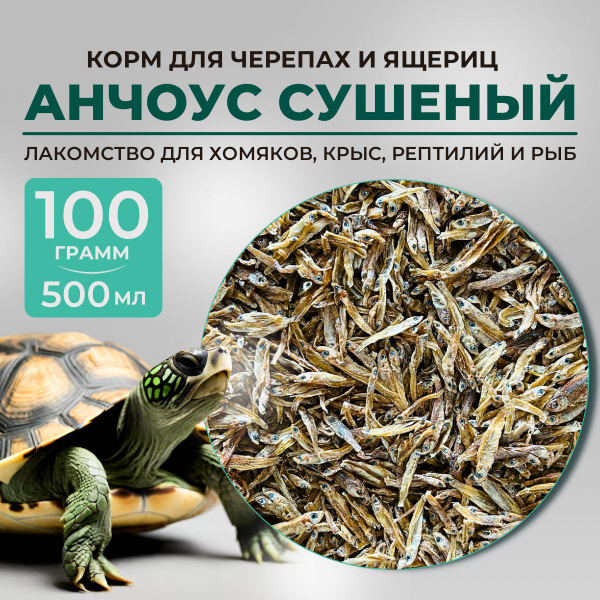 Рыбка сушеная 1-3 см, корм для черепах и ящериц 100 гр 500 мл ...