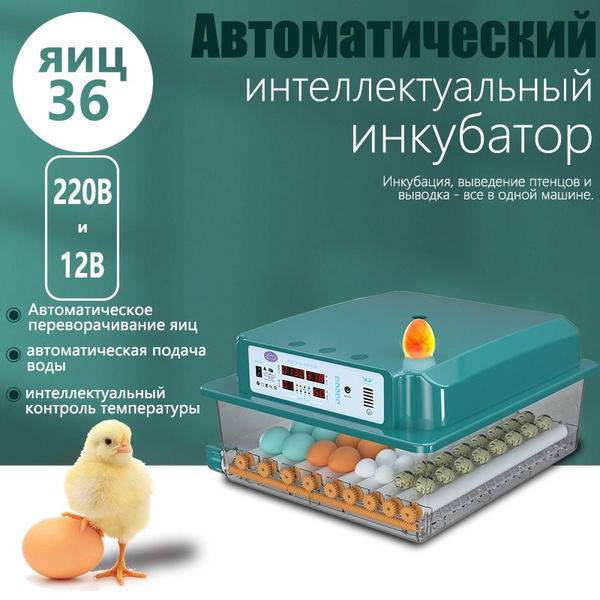 Автоматический умный инкубатор, 36 яиц. 220в и 12в купить на OZON по ...