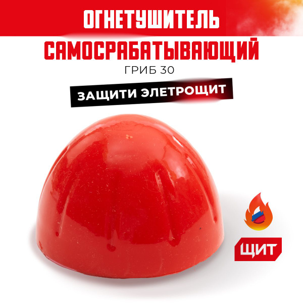 Огнетушитель ЩИТ, Аэрозольный - купить по выгодной цене в интернет ...