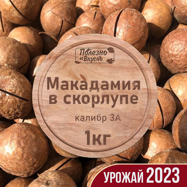 Макадамия орех в скорлупе 3а (2 ключа в комплекте), Полезно и Вкусно ...