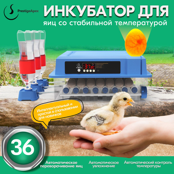 Инкубатор для яиц автоматический Р36 - купить с доставкой по выгодным ...