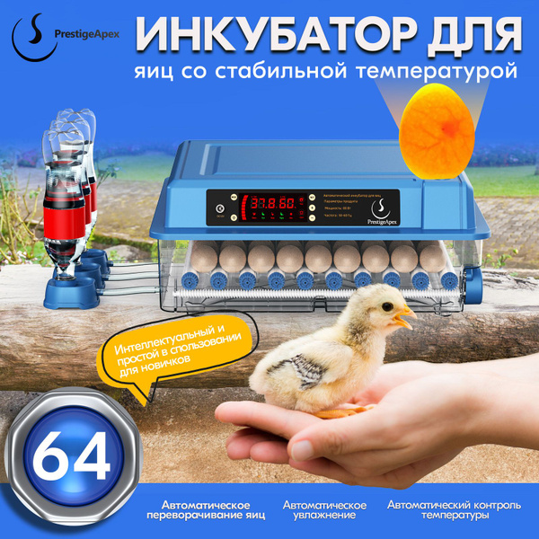 Инкубатор для яиц автоматический Ряба-64сР64 - купить с доставкой по ...