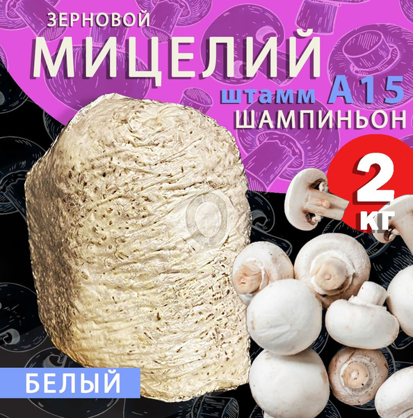 Мицелий шампиньона зерновой 6л