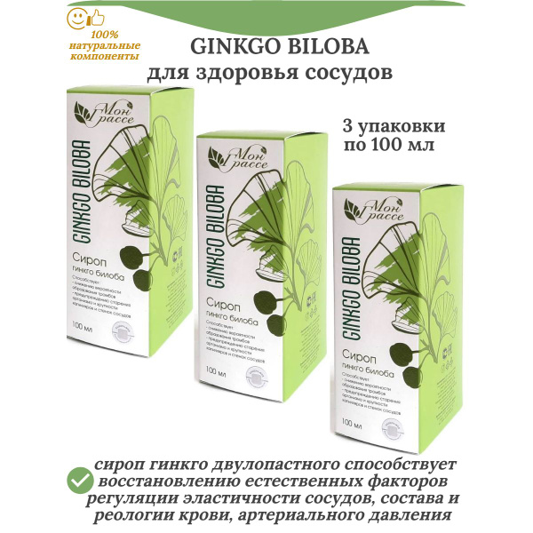GINKGO BILOBA сироп гинкго билоба (для здоровья сосудов), 3 упаковки по ...
