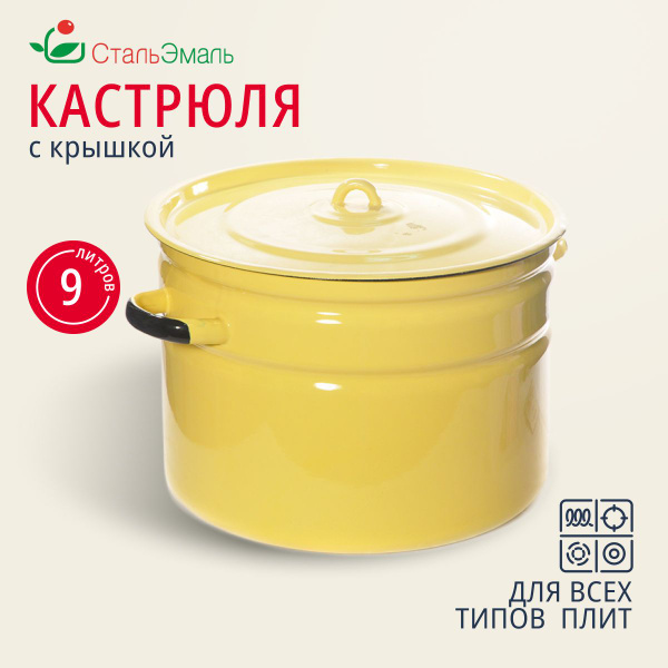 Кастрюля эмалированная 9 литров с крышкой для индукционной плиты ...