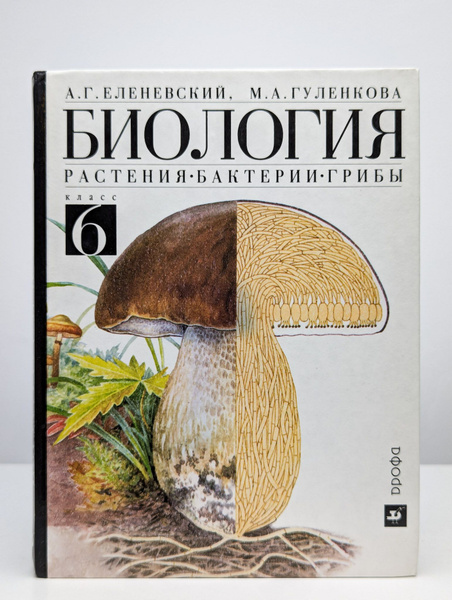 Биология. Растения, бактерии, грибы. Учебник для 6 класс - купить с ...
