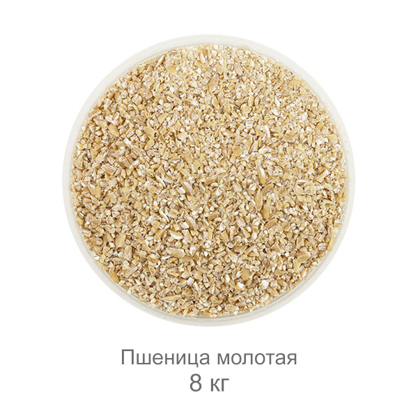 Пшеница зерно в помоле 8 кг купить на OZON по низкой цене (1695465760)