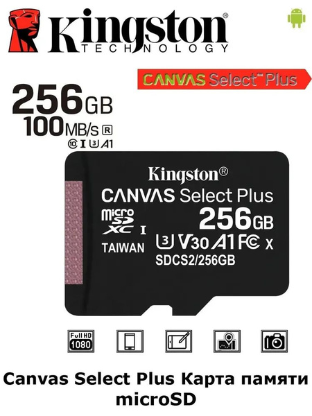 Карта памяти microSD 256 ГБ / microSDXC Canvas 256 ГБ / Карта ...