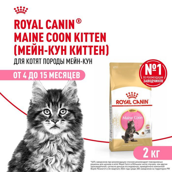 Royal Canin Maine Coon 2 Кг Купить