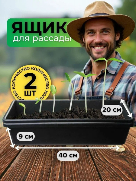 Ящики для рассады пластиковый, набор 2 шт купить на OZON по низкой цене ...