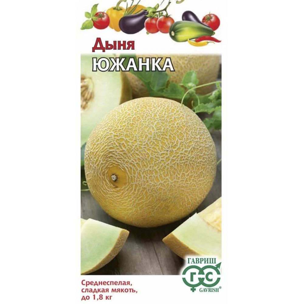 Дыни гавриш. Дыня южанка гавриш. дыня сорт идиллия. семена дыни.