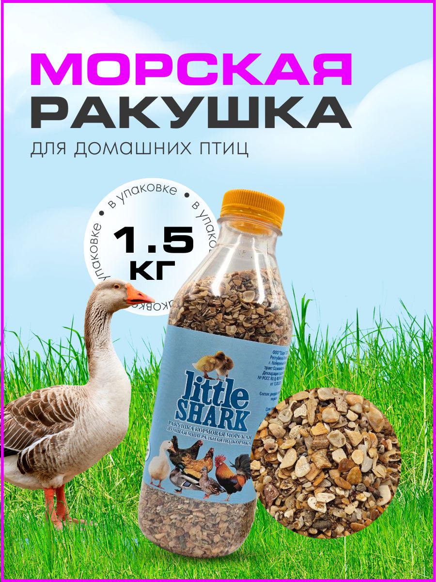 Морская ракушка для кур бройлеров и цыплят Little Shark подкормка 1,5 кг -  купить с доставкой по выгодным ценам в интернет-магазине OZON (1411339565)