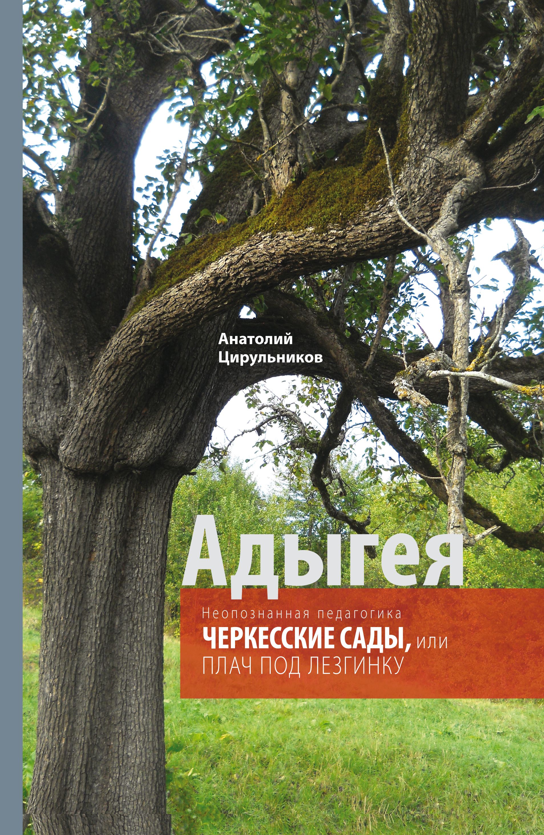 Неопознанная педагогика. Адыгея. Черкесские сады, или Плач под лезгинку |  Цирульников Анатолий Маркович