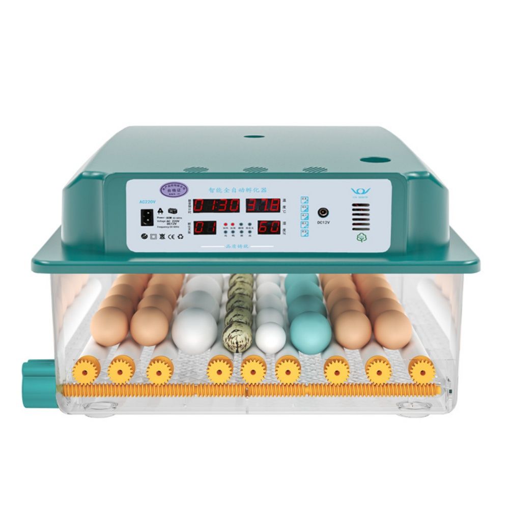 Полностью автоматический инкубатор. Инкубатор мини-Брудер. Инкубатор для яиц автоматический на 64 яйца. Инкубатор для перепелиных яиц автоматический. Автоматический роликовый инкубатор harja.