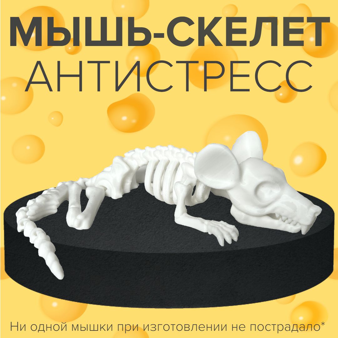 Скелет мыши