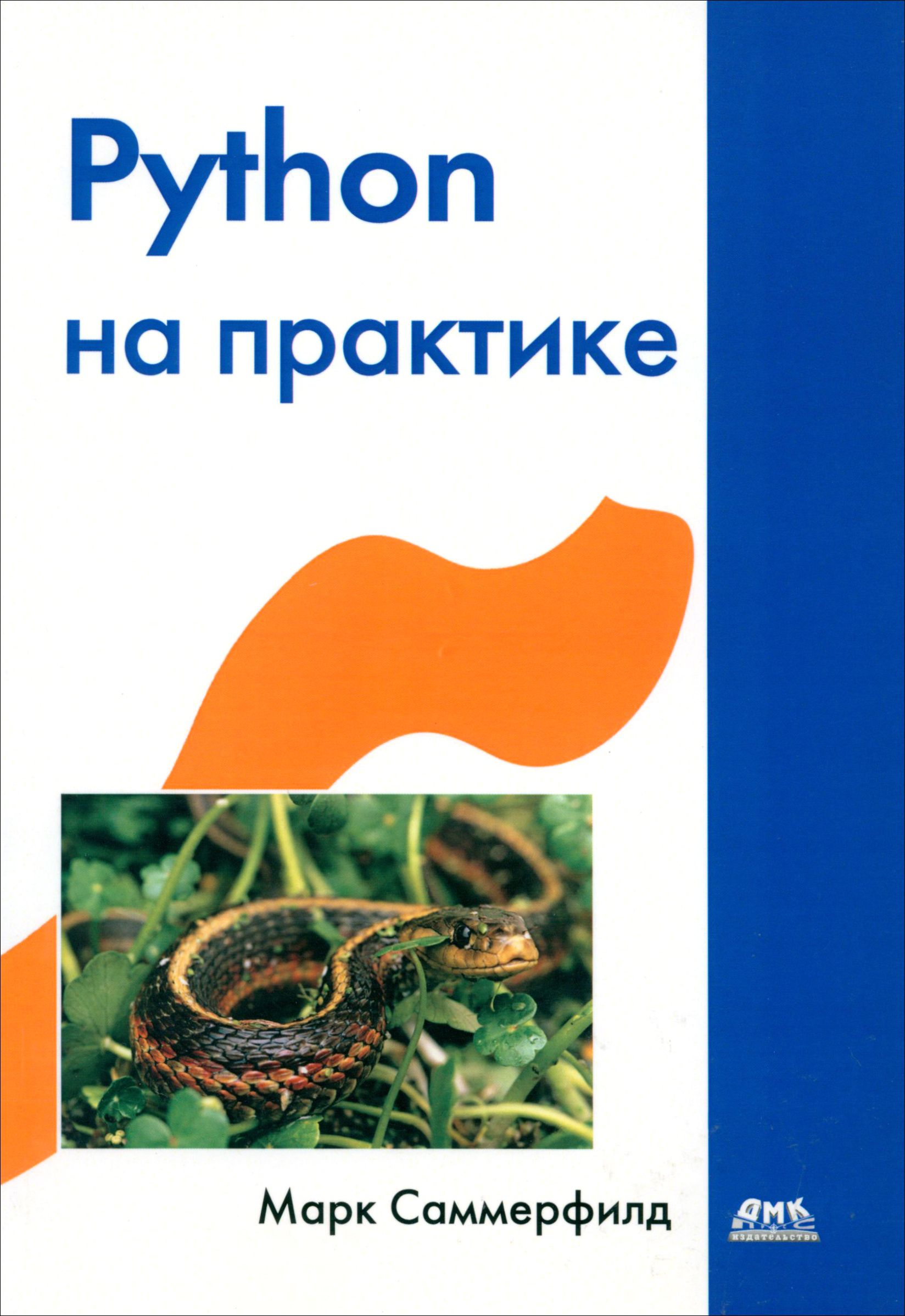 Python на практике. Создание качественных программ с использованием параллелизма и библиотек | Саммерфилд Марк