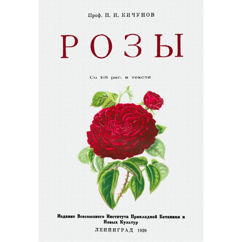 Розы. Кичунов Н.И.