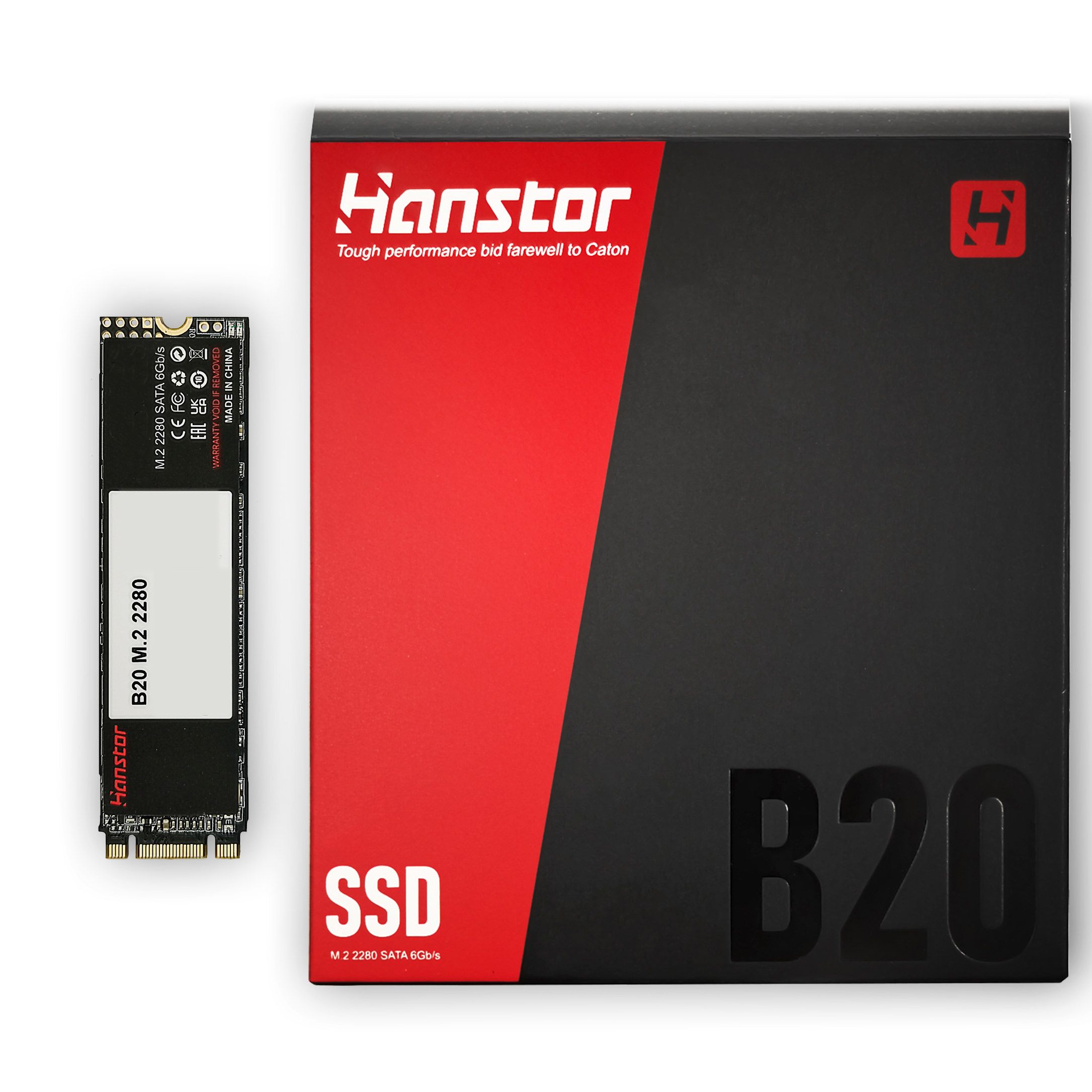 2 ТБ Внутренний жесткий диск Hanstor Hanstor-B20 (Hanstor-B20-2TB) - купить  по выгодной цене в интернет-магазине OZON (1514836253)