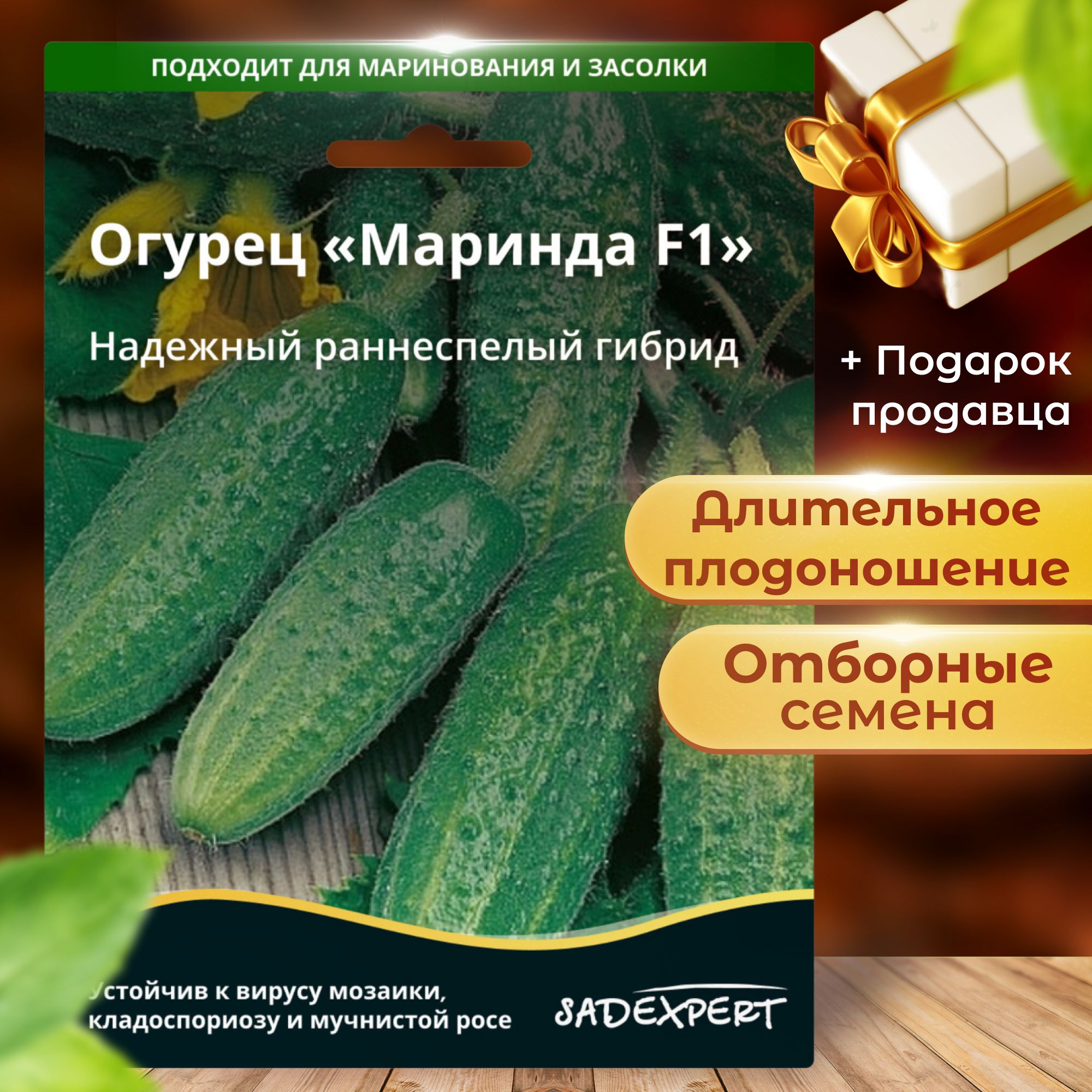 Сорт Огурцов Маринда Фото