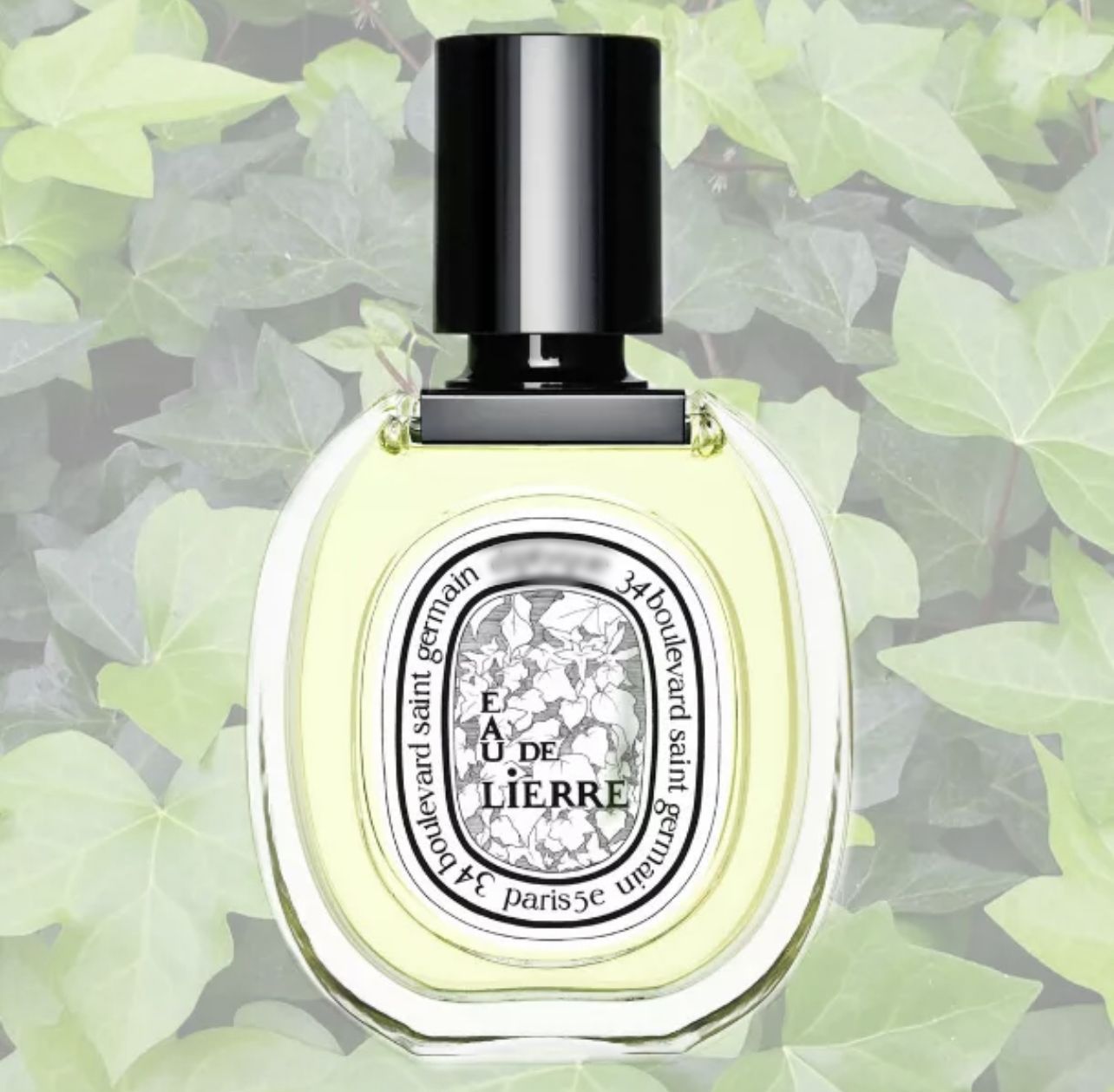 Diptique. Духи плющ диптик. Diptyque. Духи Moss. Духи Moss 2010.