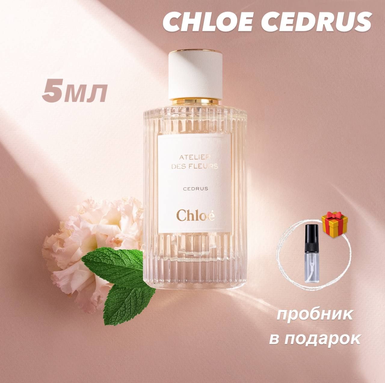 Chloe Вода парфюмерная Cedrus 5 мл