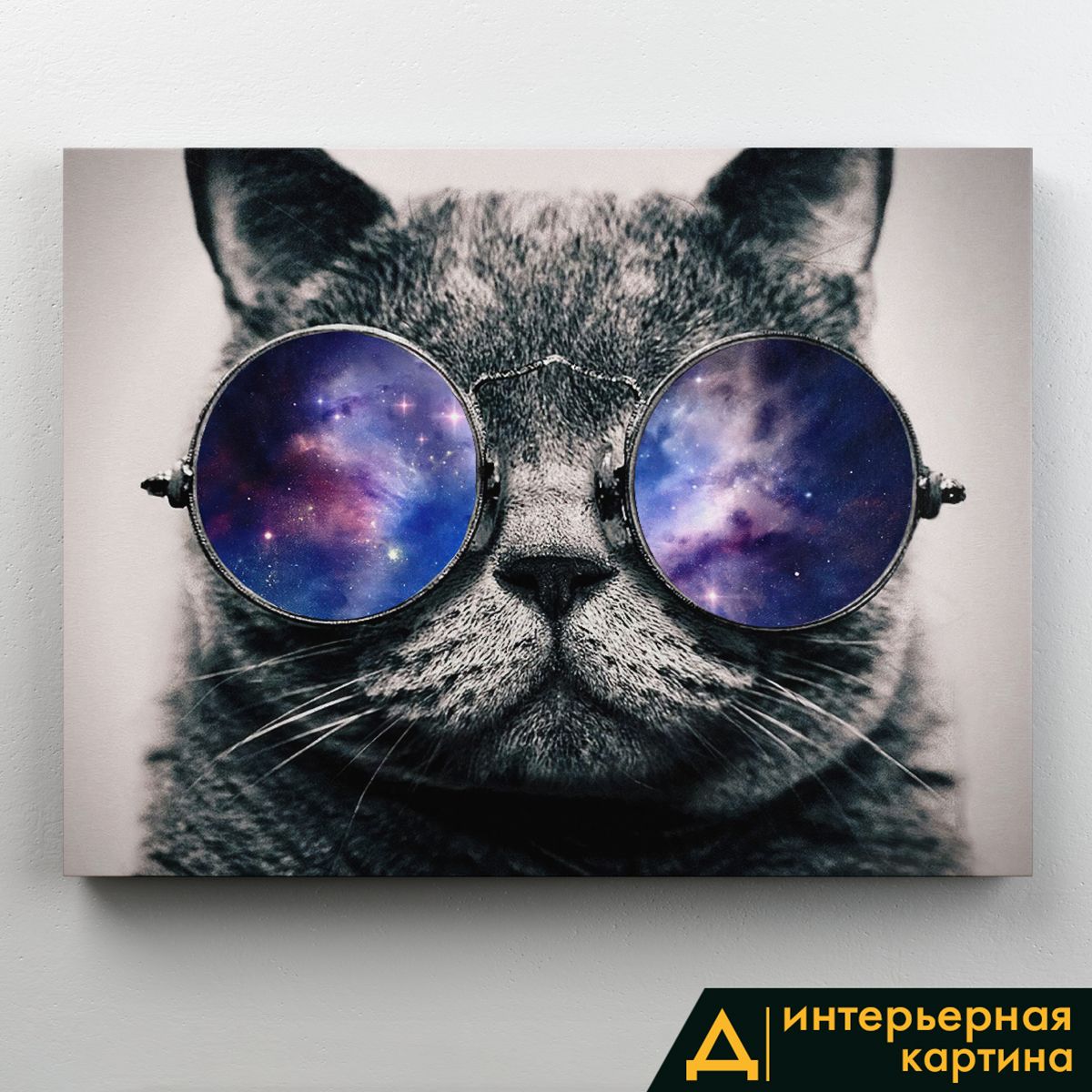 Космический кот в очках