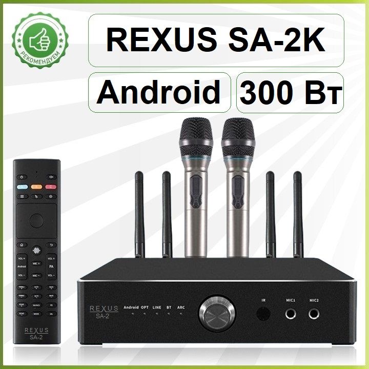 REXUSSA-2K(300Вт)-караокеусилитель,300Вт,ANDROID12,Bluetooth,HDMI,Optical,2радиомикрофона