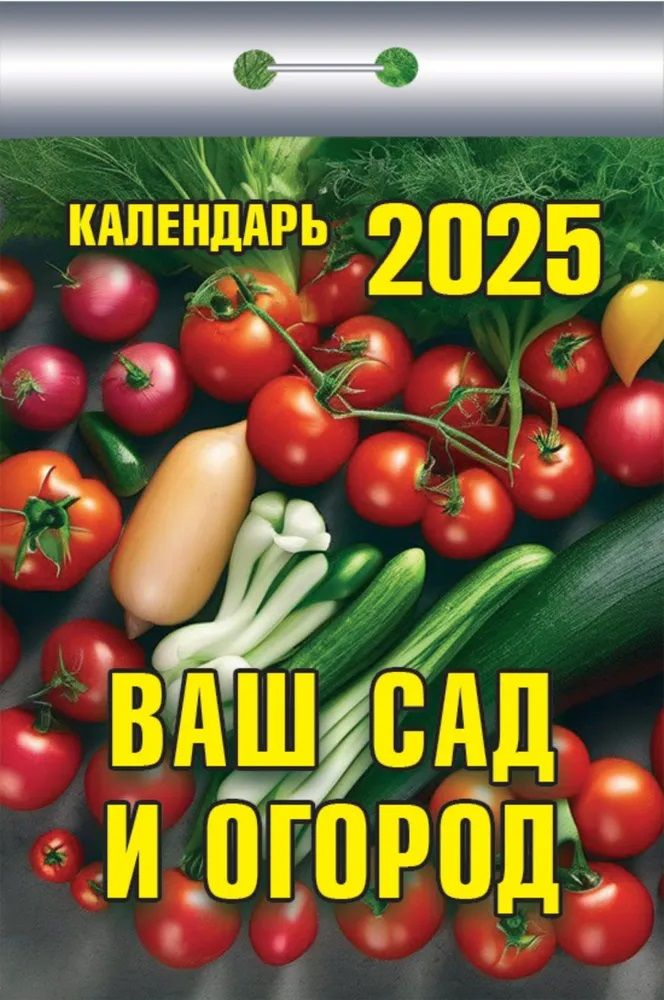 КостромаКалендарь2025г.,Отрывной