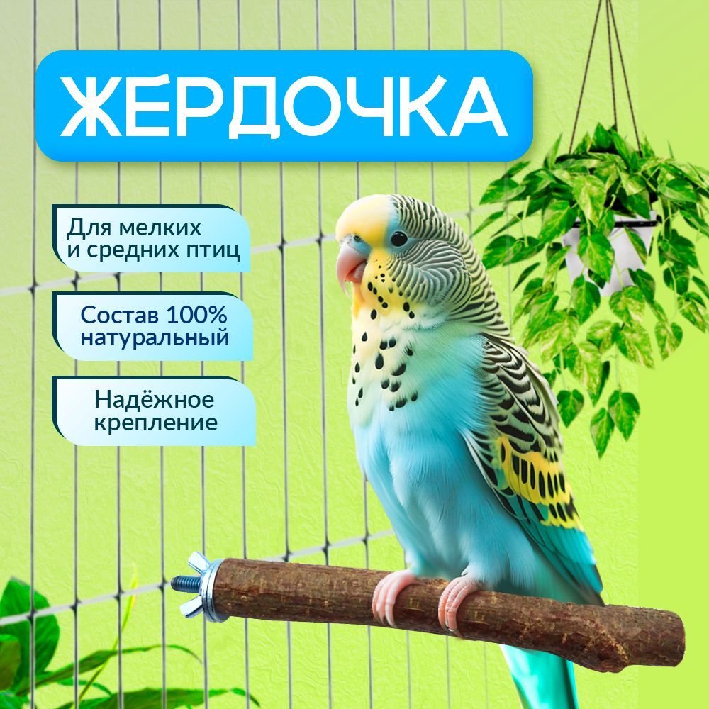 Жердочка для волнистых попугаев купить на OZON по низкой цене (1738206067)