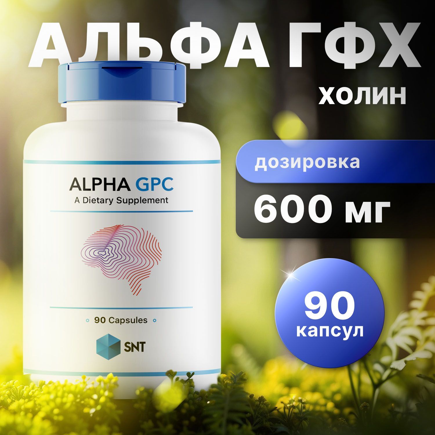 SNT Альфа Гфх, холин, Alpha GPC 90 капсул