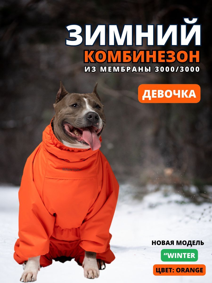 Зимнийкомбинезондлясобак"Winter",55/4XL,женский,orange