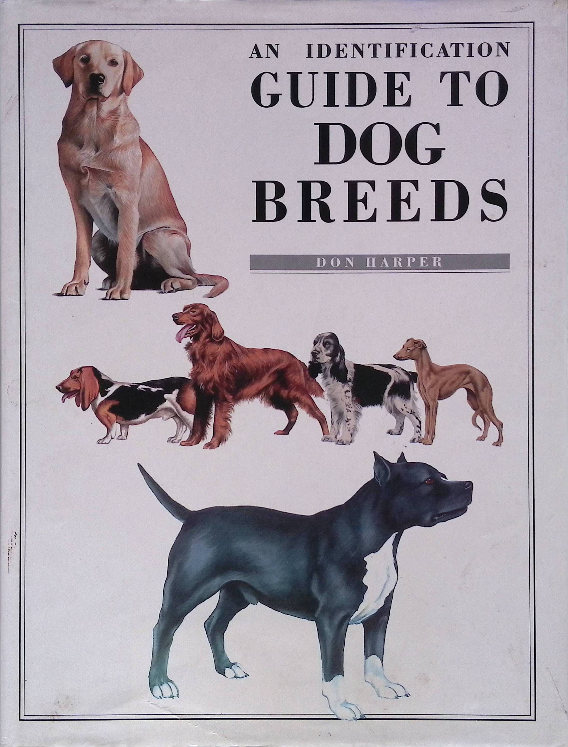 An Illustrated Guide to Dog Breeds