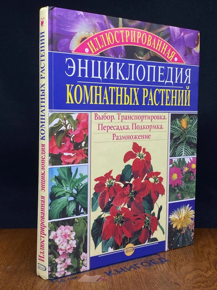 Энциклопедия комнатных растений