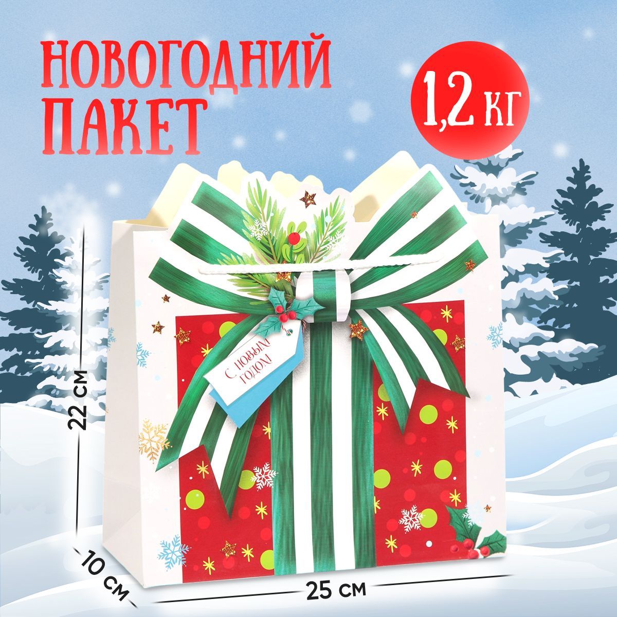 Пакет подарочный новогодний, 25 х 22 х 10 см