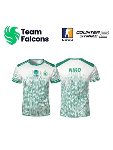 31 Falcons 2025 31-falcons-2025