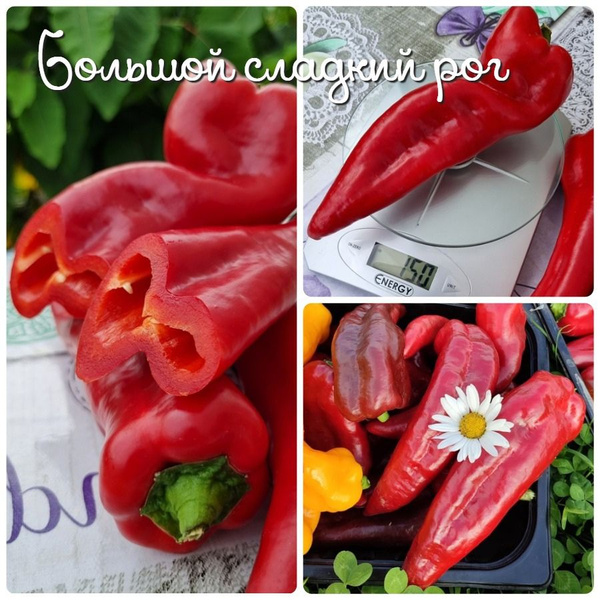 Перец сладкий сорт сладкого перца красного_10_красный - купить по ...