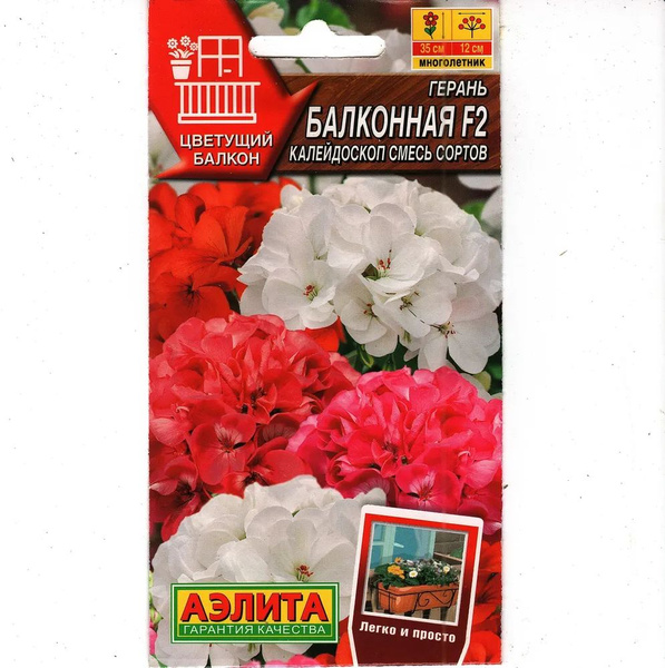 Герань садовая, Пеларгонии (Герань) Аэлита 1_Герань Балконная ...