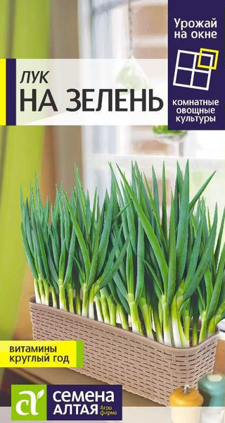 Лук Семена Алтая Зелень - купить по выгодным ценам в интернет-магазине ...